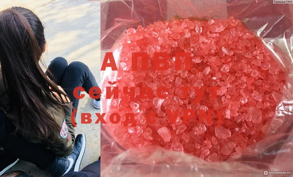 эйфоретик Осташков