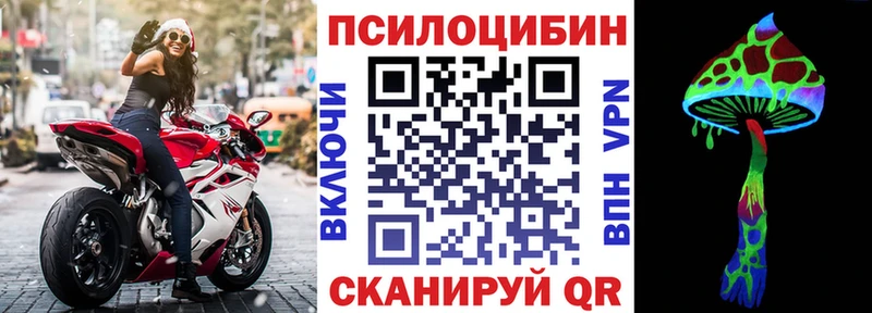 как найти   Верхняя Салда  Галлюциногенные грибы Psilocybe 
