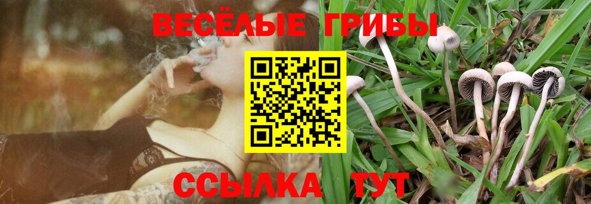 Псилоцибиновые грибы Cubensis Верхняя Салда